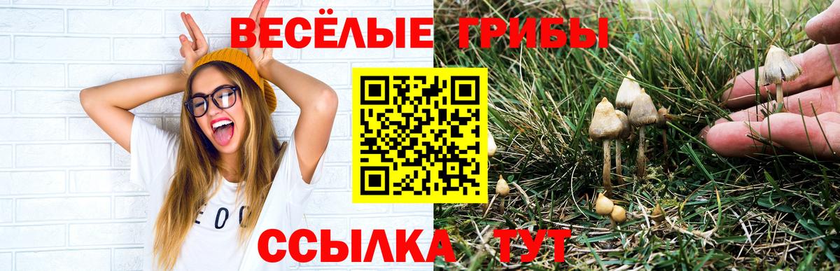 Галлюциногенные грибы ЛСД Верхний Уфалей